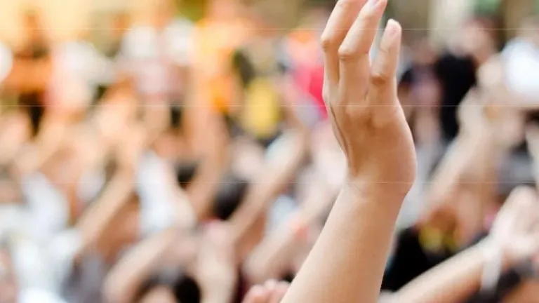 Erhobene Hand bei einer Demonstration
